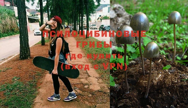 мяу мяу мука Навашино