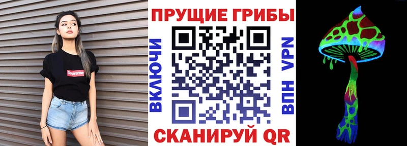 наркотики Ак-Довурак kraken tor Псилоцибиновые грибы мицелий
